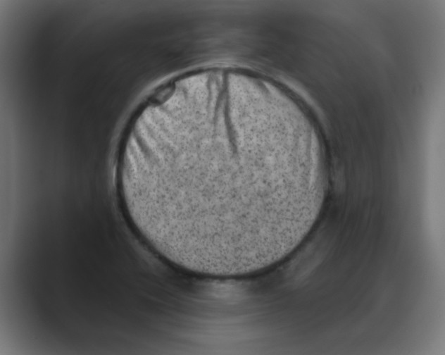 X0000088431416200706191226
