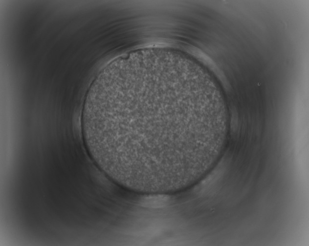 X0000088431417200706191226