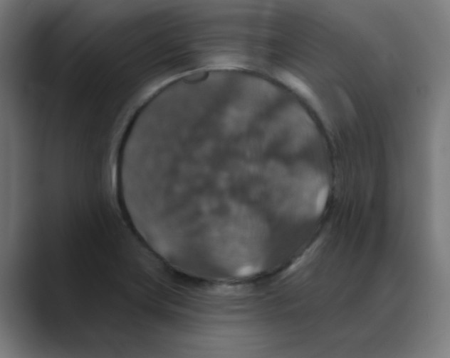 X0000088431419200706191226
