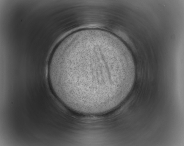 X0000088431420200706191226