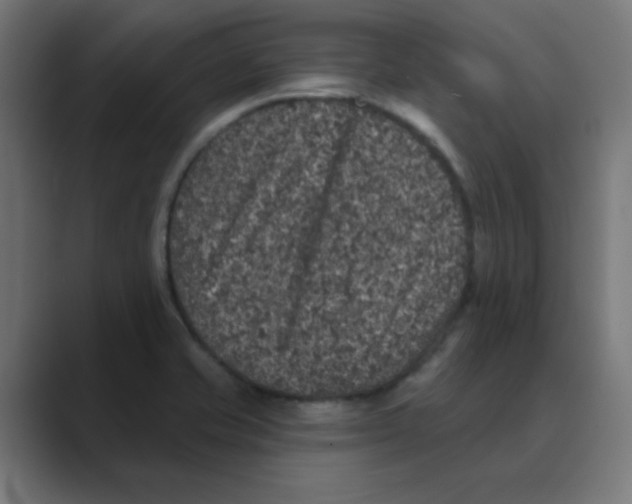 X0000088431421200706191226