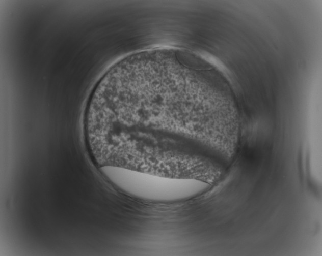 X0000088431423200706191226
