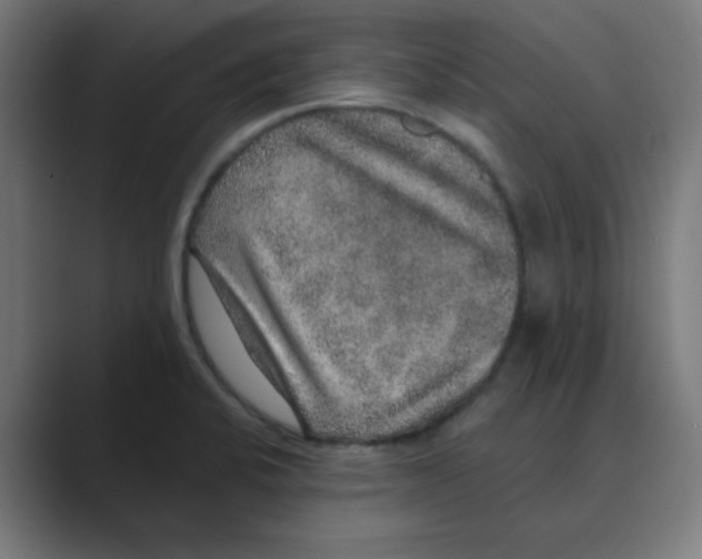 X0000088431424200706191226