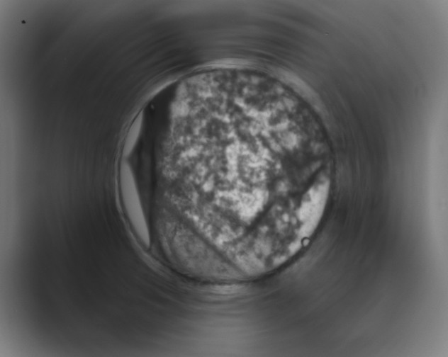 X0000088431425200706191226