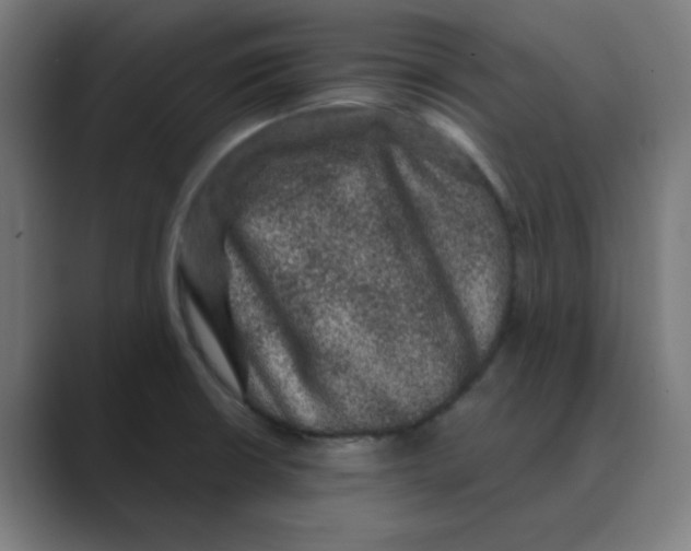 X0000088431426200706191226