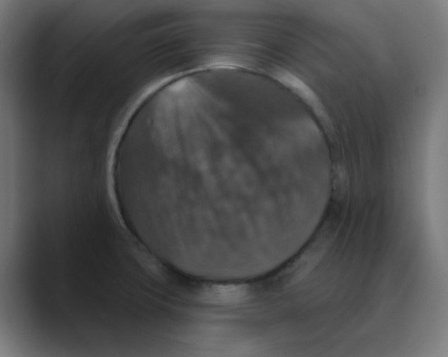 X0000088431427200706191226