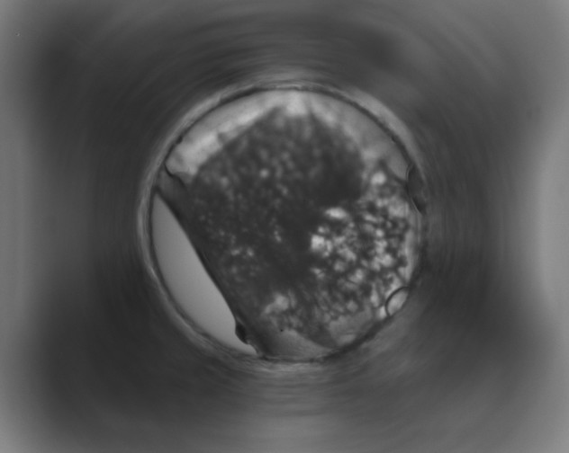 X0000088431429200706191226