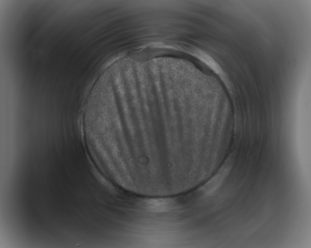 X0000088431433200706191226