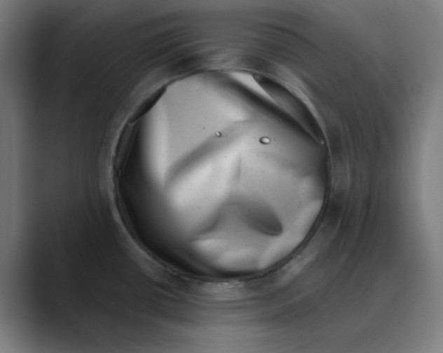 X0000088431434200706191226