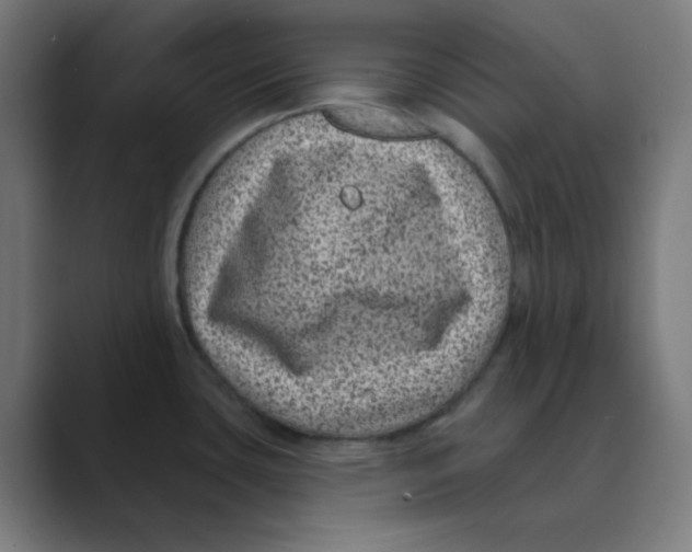X0000088431435200706191226