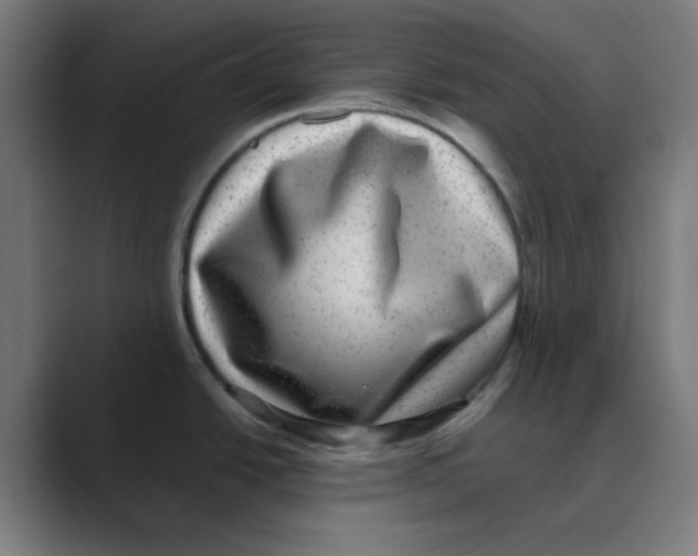 X0000088431438200706191226
