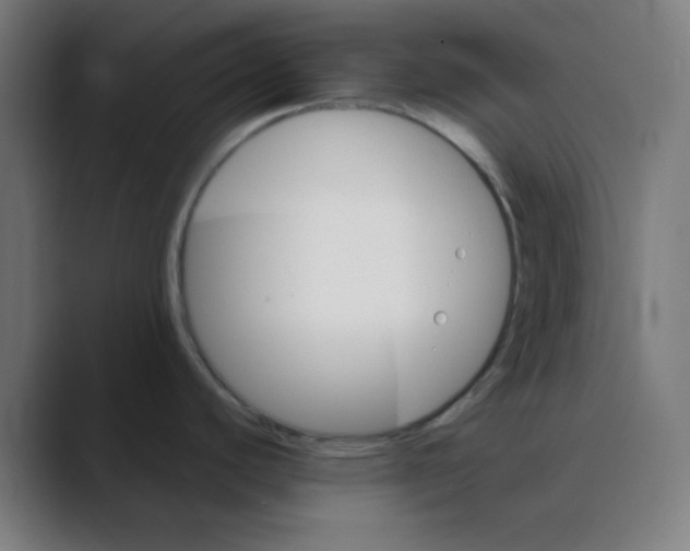 X0000088431440200706191226