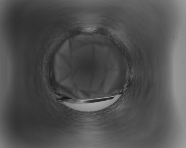 X0000088431441200706191225
