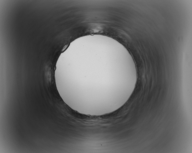 X0000088431442200706191225