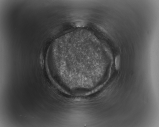 X0000088431443200706191225