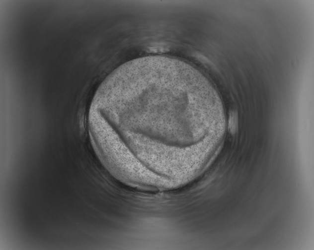 X0000088431444200706191225