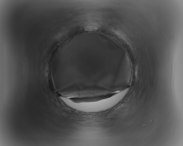 X0000088431445200706191225