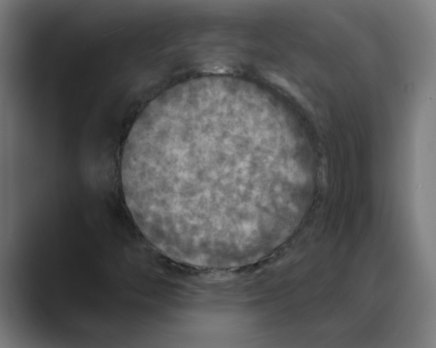 X0000088431446200706191225