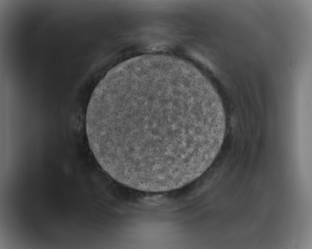 X0000088431447200706191225