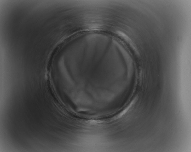 X0000088431449200706191225