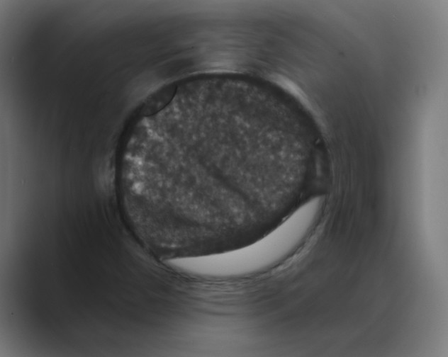 X0000088431450200706191225