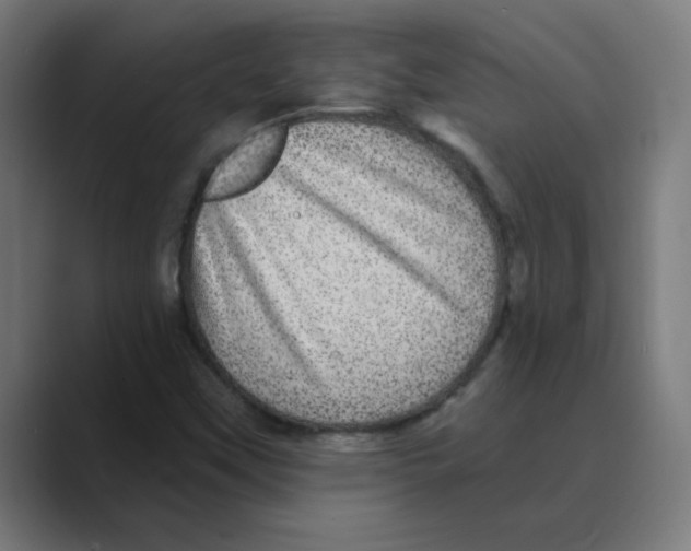 X0000088431451200706191225