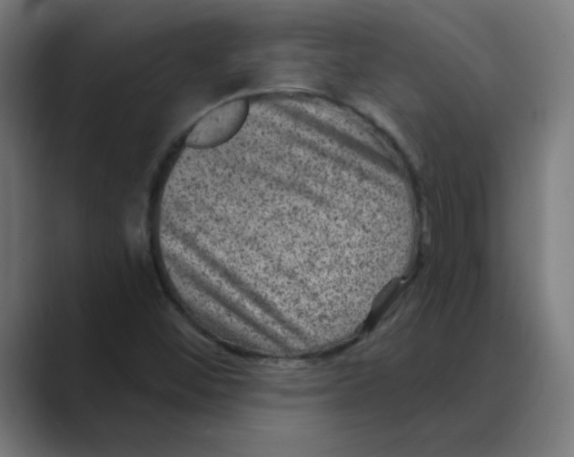 X0000088431452200706191225
