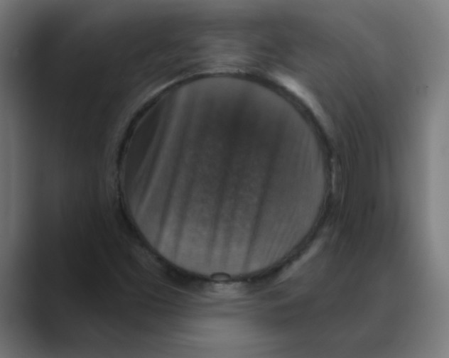 X0000088431453200706191225