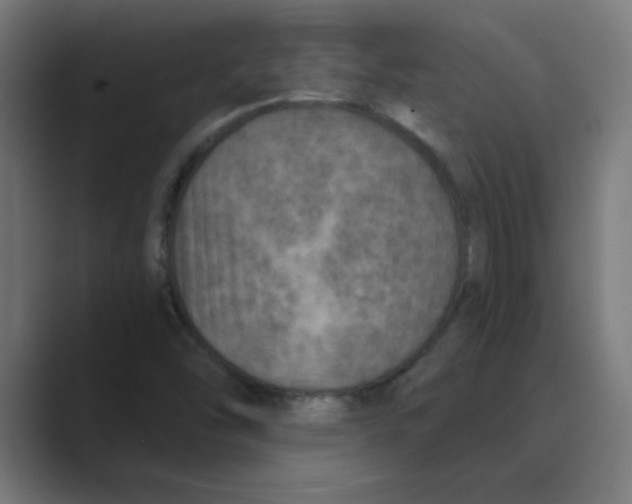 X0000088431454200706191225