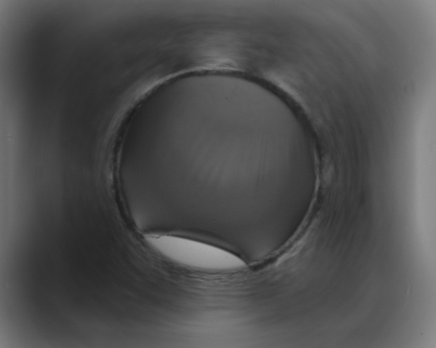 X0000088431455200706191225