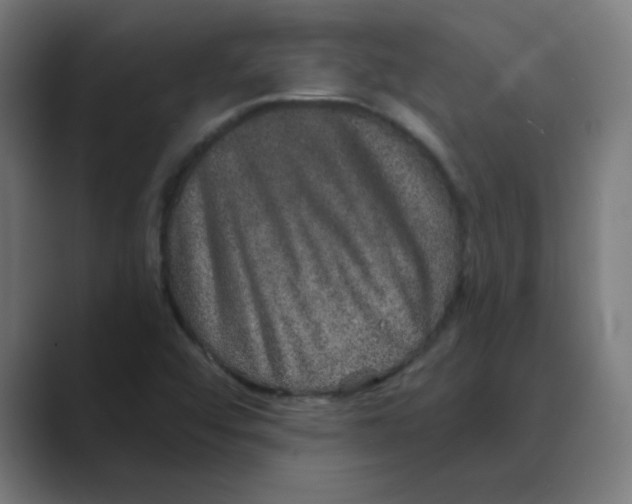X0000088431456200706191225