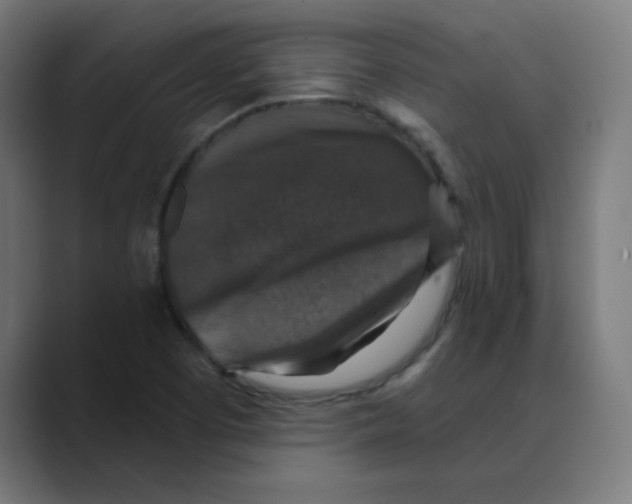 X0000088431457200706191225