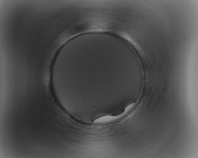 X0000088431459200706191225