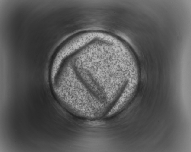 X0000088431460200706191225
