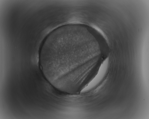 X0000088431461200706191225