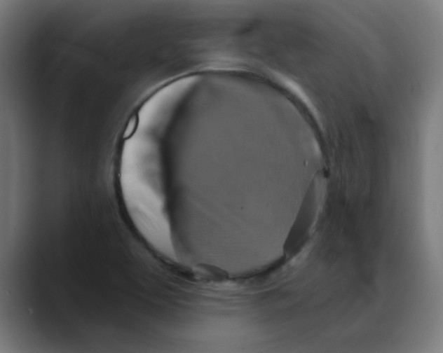 X0000088431463200706191225