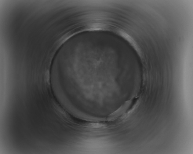 X0000088431465200706191225