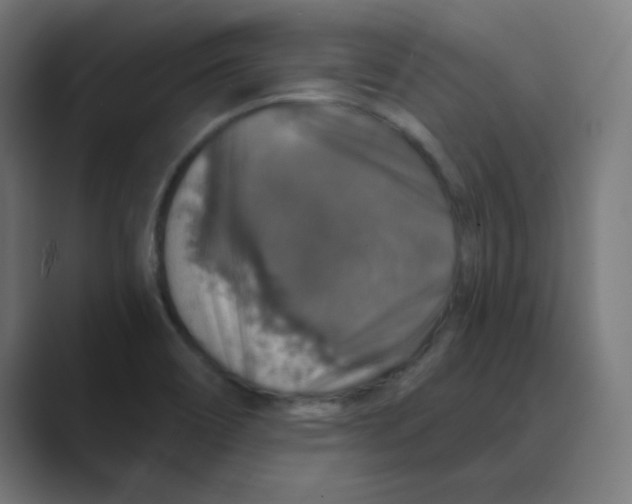 X0000088431466200706191225