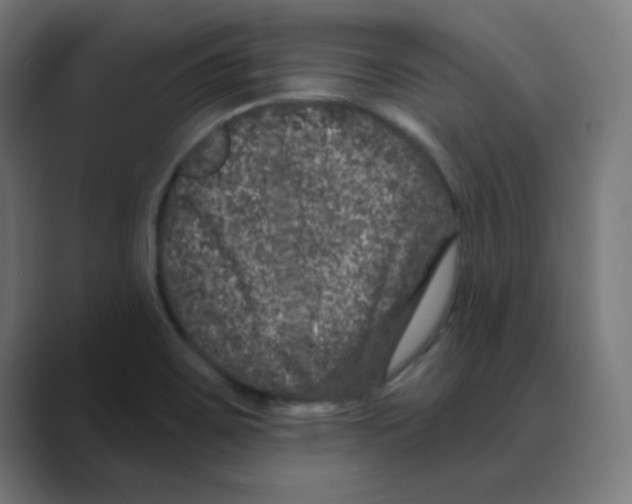 X0000088431467200706191225