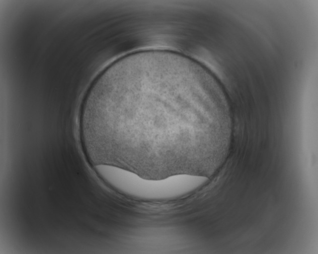 X0000088431468200706191225