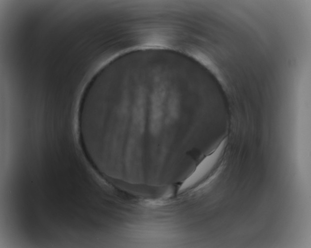 X0000088431469200706191225