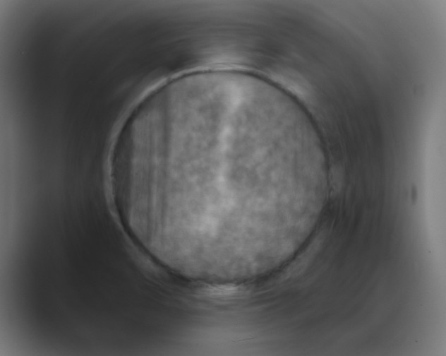 X0000088431470200706191225
