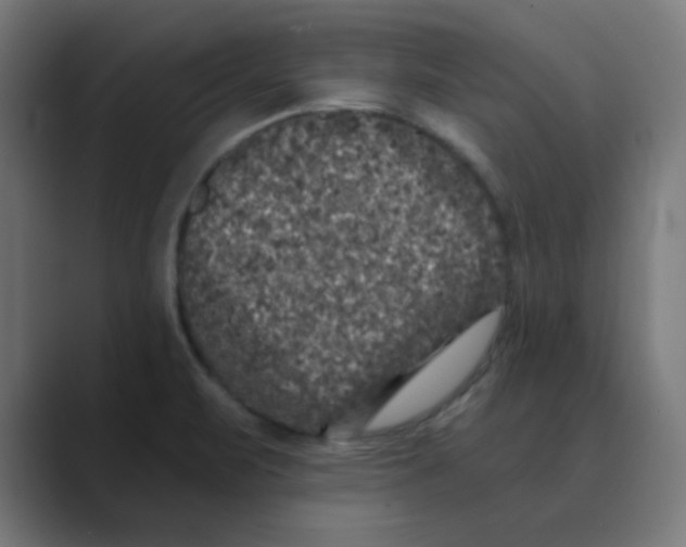 X0000088431471200706191225