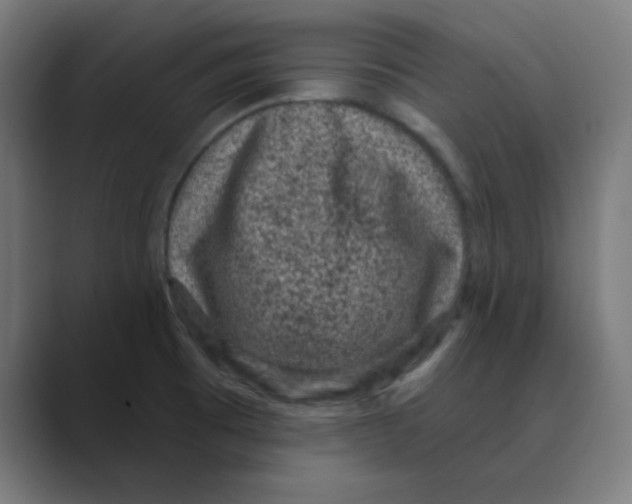 X0000088431473200706191225