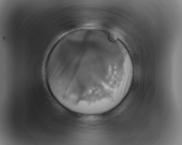 X0000088431474200706191225