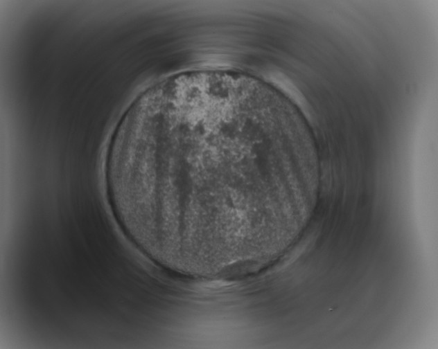 X0000088431475200706191225
