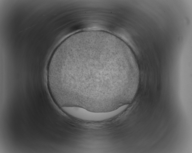 X0000088431476200706191225