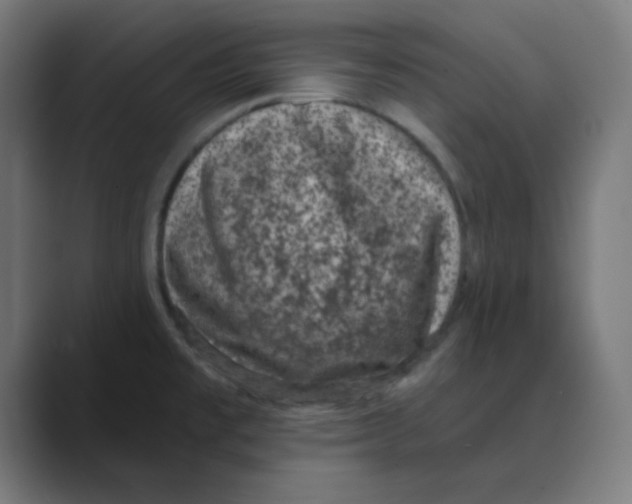 X0000088431477200706191225