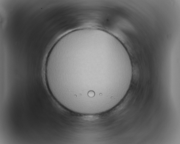 X0000088431478200706191225