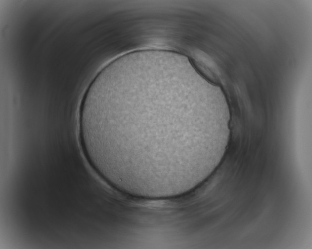 X0000088431479200706191225